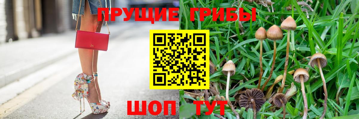 Галлюциногенные грибы мухоморы Тобольск
